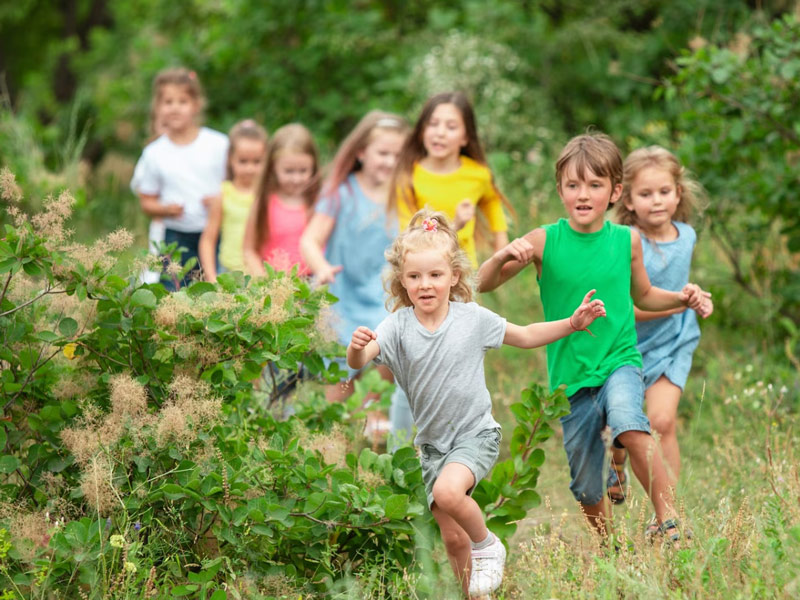 Organiza un día divertido en el campo con niños